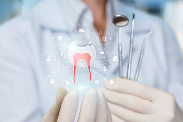 Best Full Mouth Reconstruction  in Bayard, NM